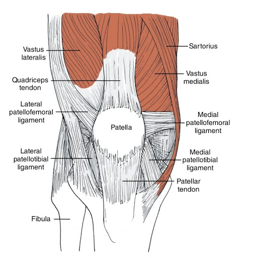 Passive Knee Stabilizers