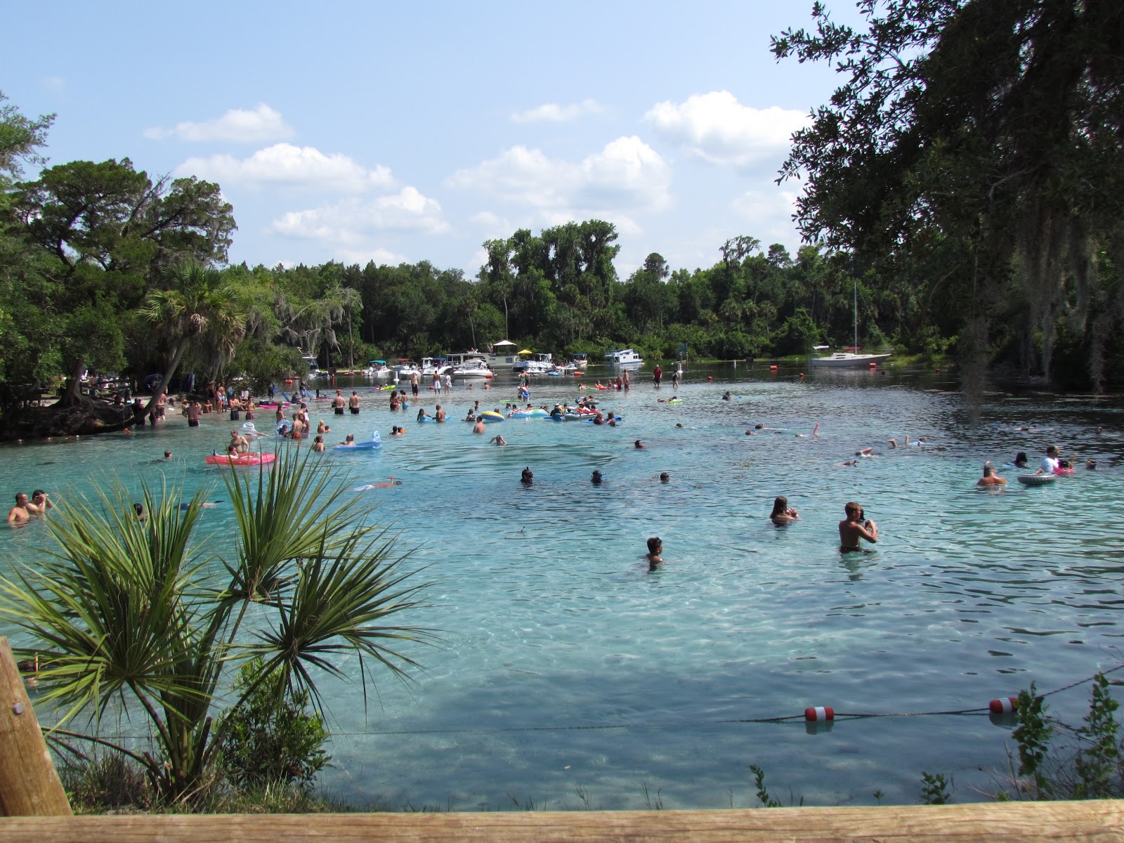 WildWildernessWalkers Silver Glenn Springs