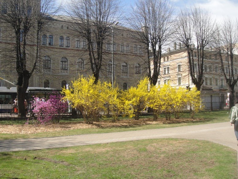 Верманский парк рига