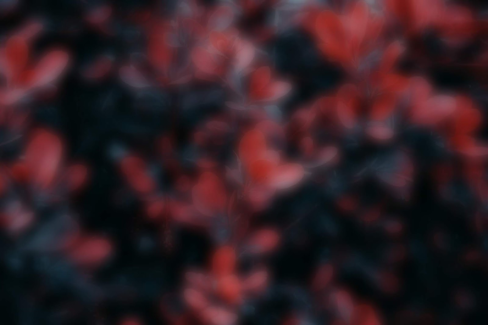 New Cb Editing Hd Backgrounds 2020 Download Editing Backgrounds