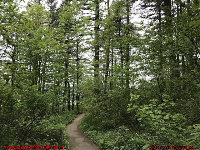 Bridal Veil Falls Trail