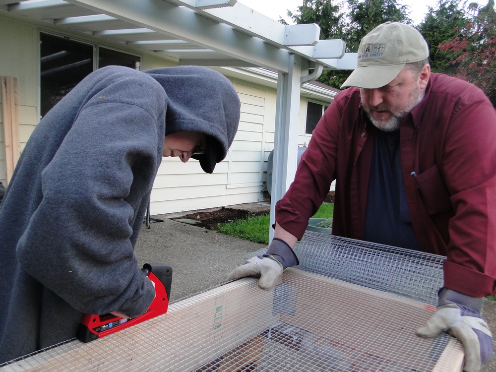 Garden Scrapbook Raspberry Raised Beds Part 1