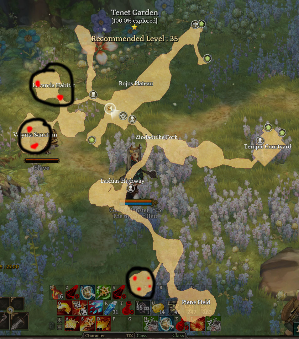 Yo It's Spicy: Tree of Savior | Large Panto Spearman Spawn Locations
