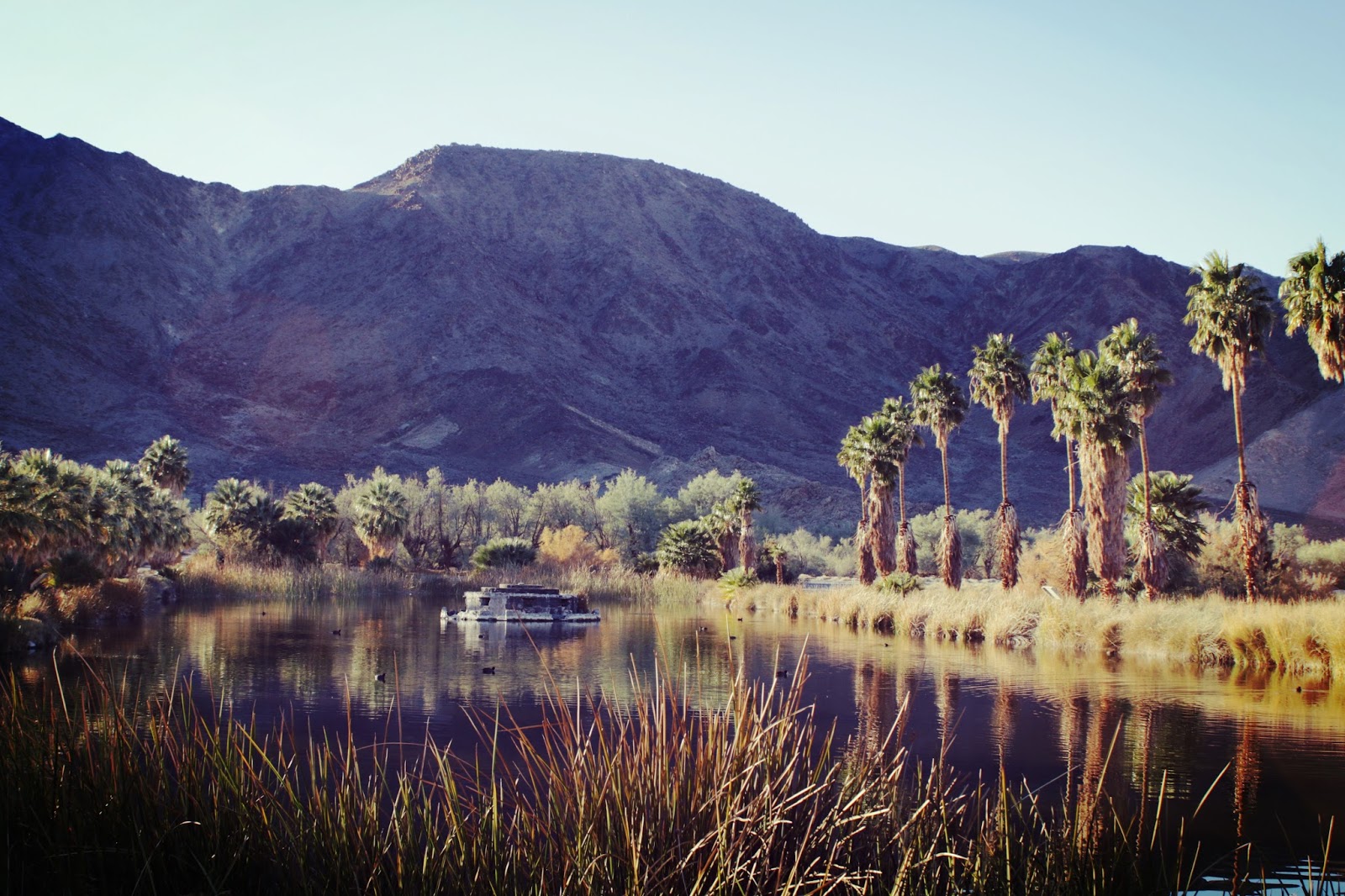 What is at the End of Zzyzx Road