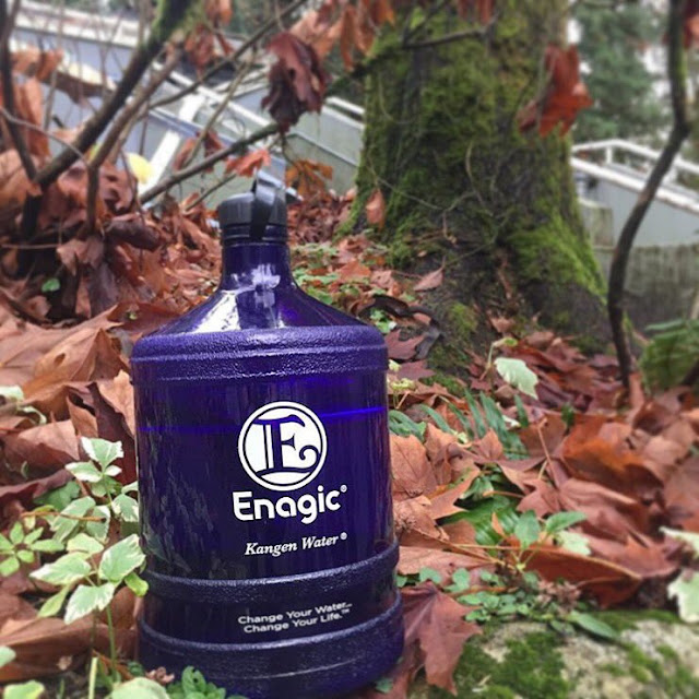 Kangen Water Benefits