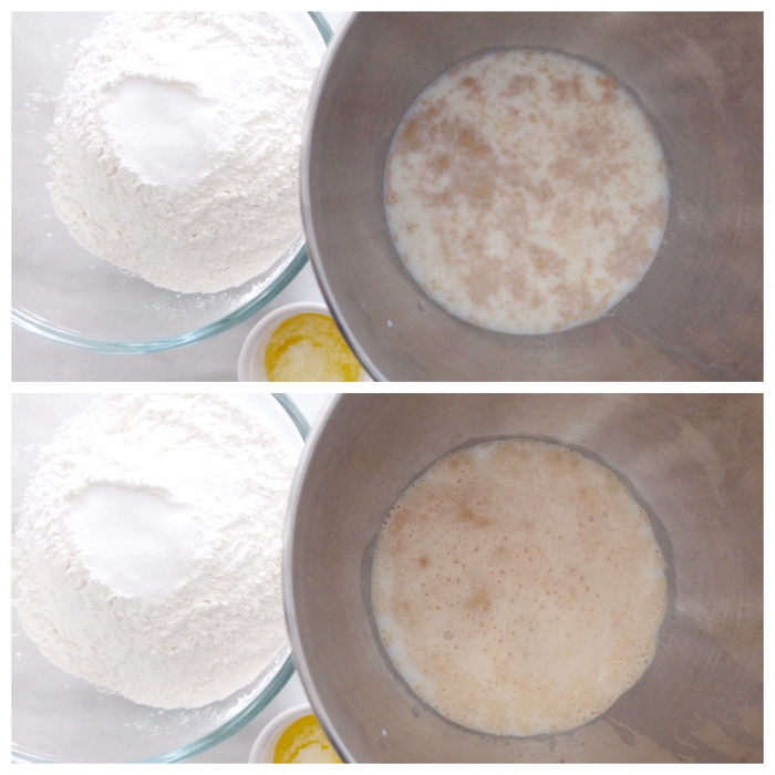 blooming yeast before and after