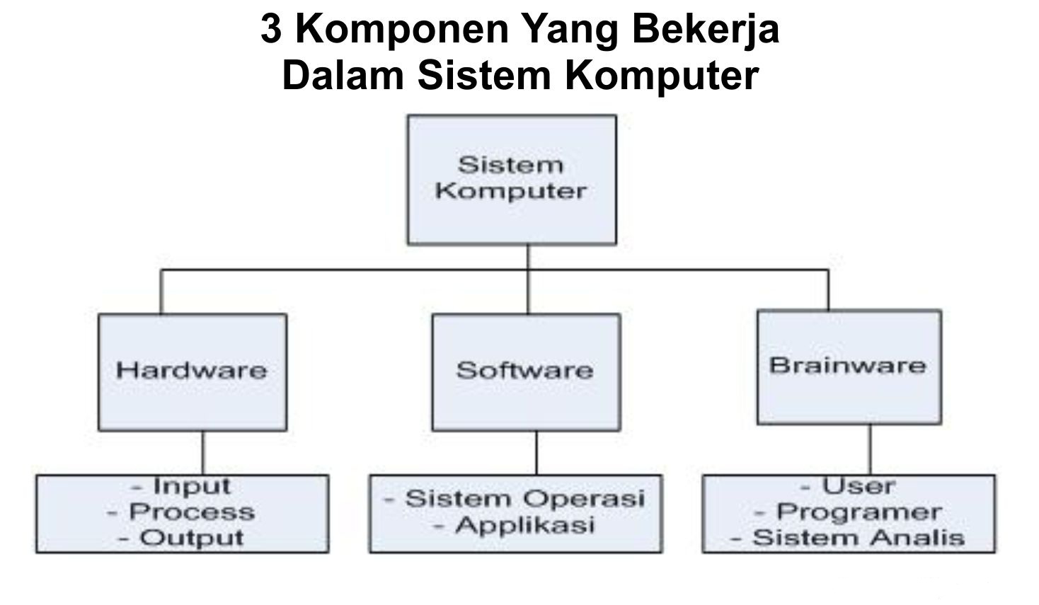 sistem