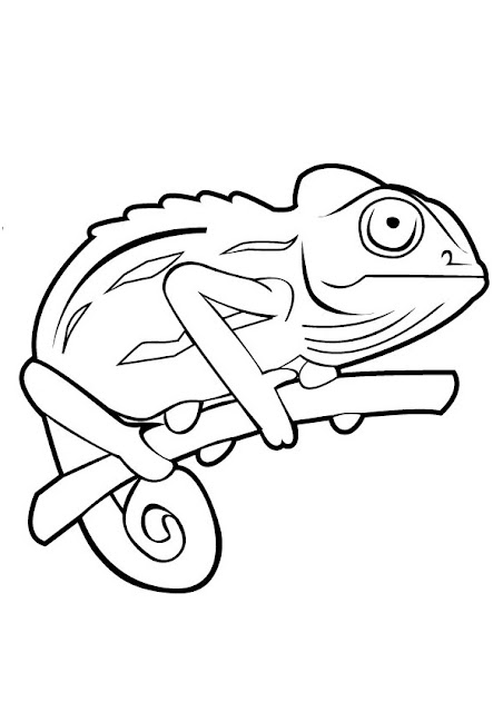Best chameleon coloring pages