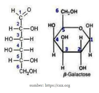 Галактоза циклическая формула. Галактоза формула. Галактоза структурная формула. Галактоза формула. Строение галактозы формула.