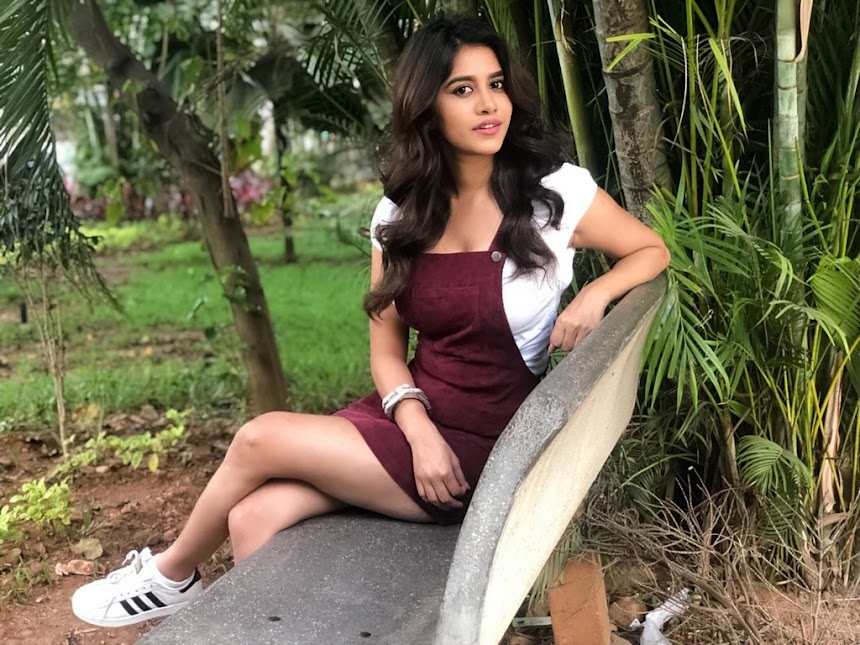 Nabha Natesh