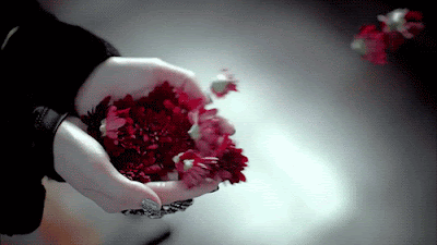ab7ec1489d15384e53dca9c274abcdc1.gif