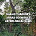 Shashi Tharoor & Arnab Goswami Wear Astrological Gems