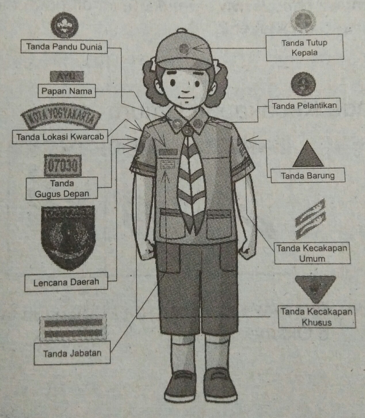 Keterampilan Dasar Berkemah Materi Sekolah