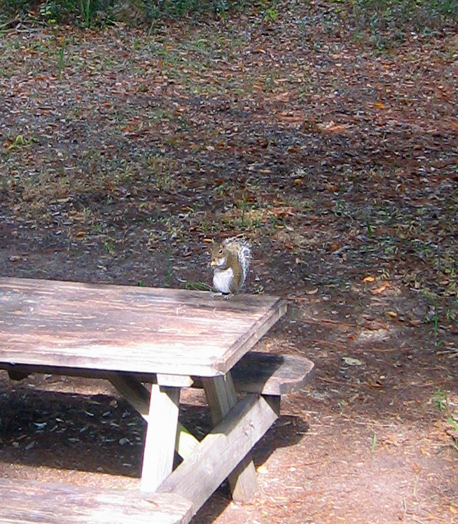 My Image 9