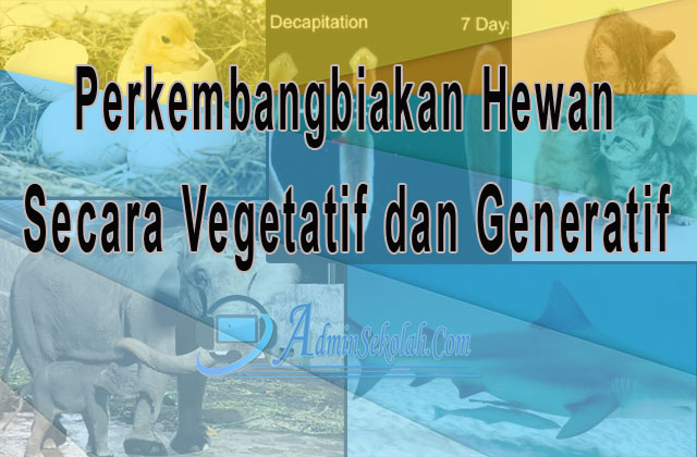 Perkembangbiakan Hewan Secara Generatif Dan Vegetatif Admin Sekolah