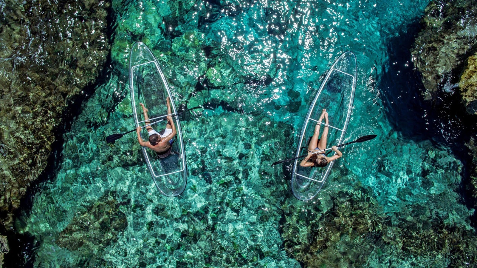 Transparent kayaks gives you extraordinary view of marine life Grabey