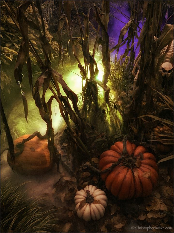 The Blog The Haunted Orchard House, by SpydersRealm