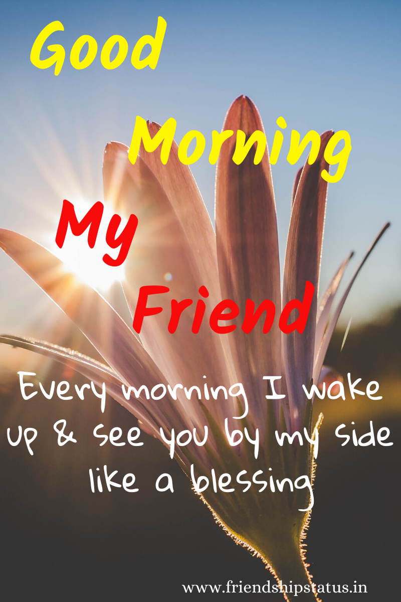 Best] 50 Good Morning Wishes for Friends