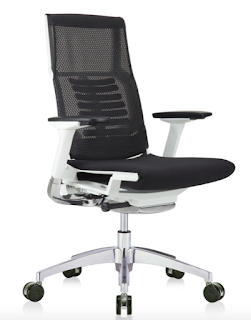 eurotech powerfit chair