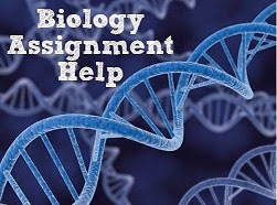 Why you Should Opt for Biology Assignment Help?