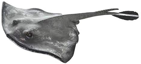 Gift Ideas for 14 Year Old Boys: Safari Ltd Incredible Creatures Sting Ray