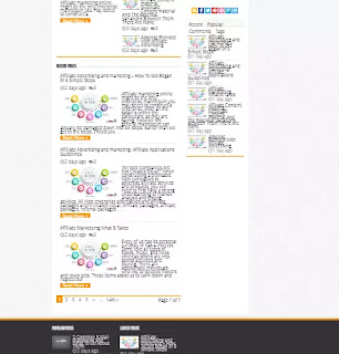 wordpress-developer-in-pakistan wordpress developer in pakistan