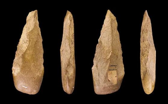 Mengapa Manusia Purba Membuat Peralatan Dari Bahan Batu Kayu Dan Tulang Dulajar