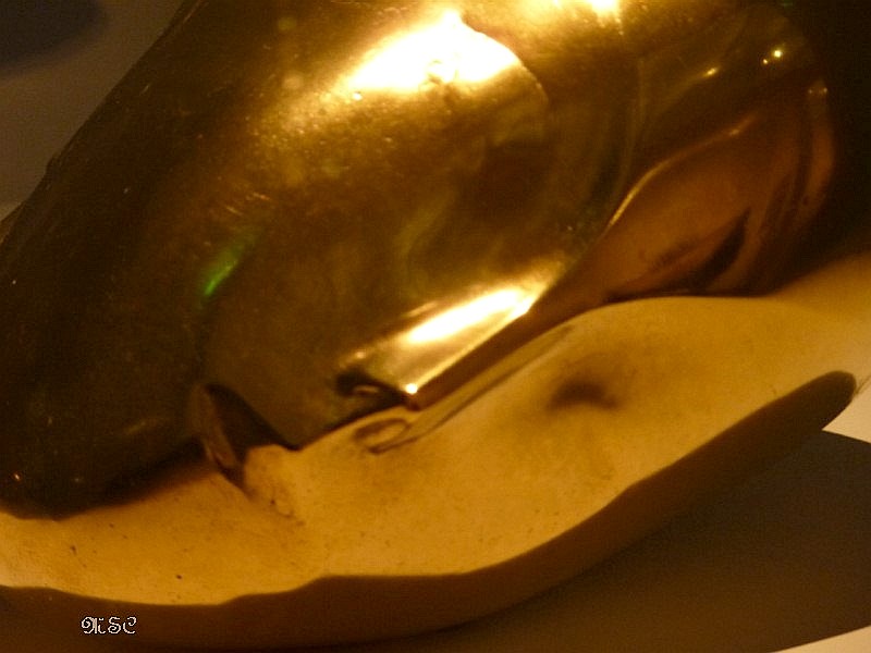 O Vizita In Atelierul Lui Brancusi De Cella Delavrancea C H I R C A ________: Coco?ul ?i Muza – Brâncu?i la Metz