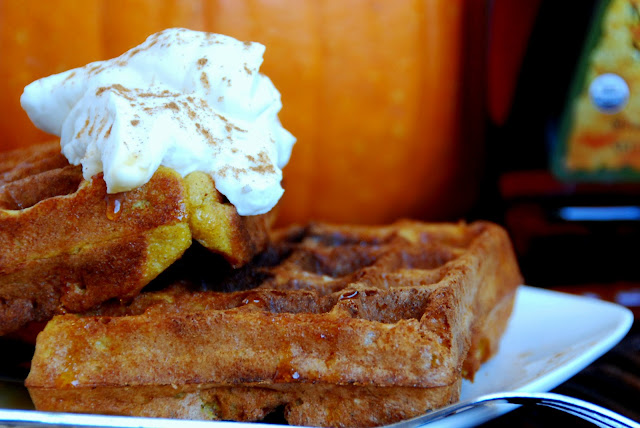 close up of pumpkin waffles with whipped cream on top