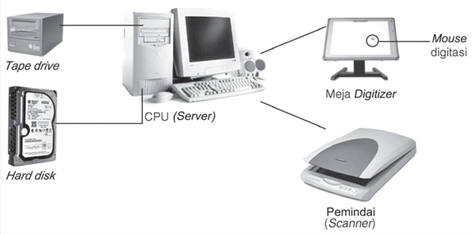 PROSES MASUKAN DATA SS belajar