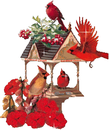 Animation Bundle: Animated Cardinals Chirping and Spreading Love of ...
