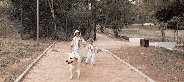 zé e martim levam a belém a passear