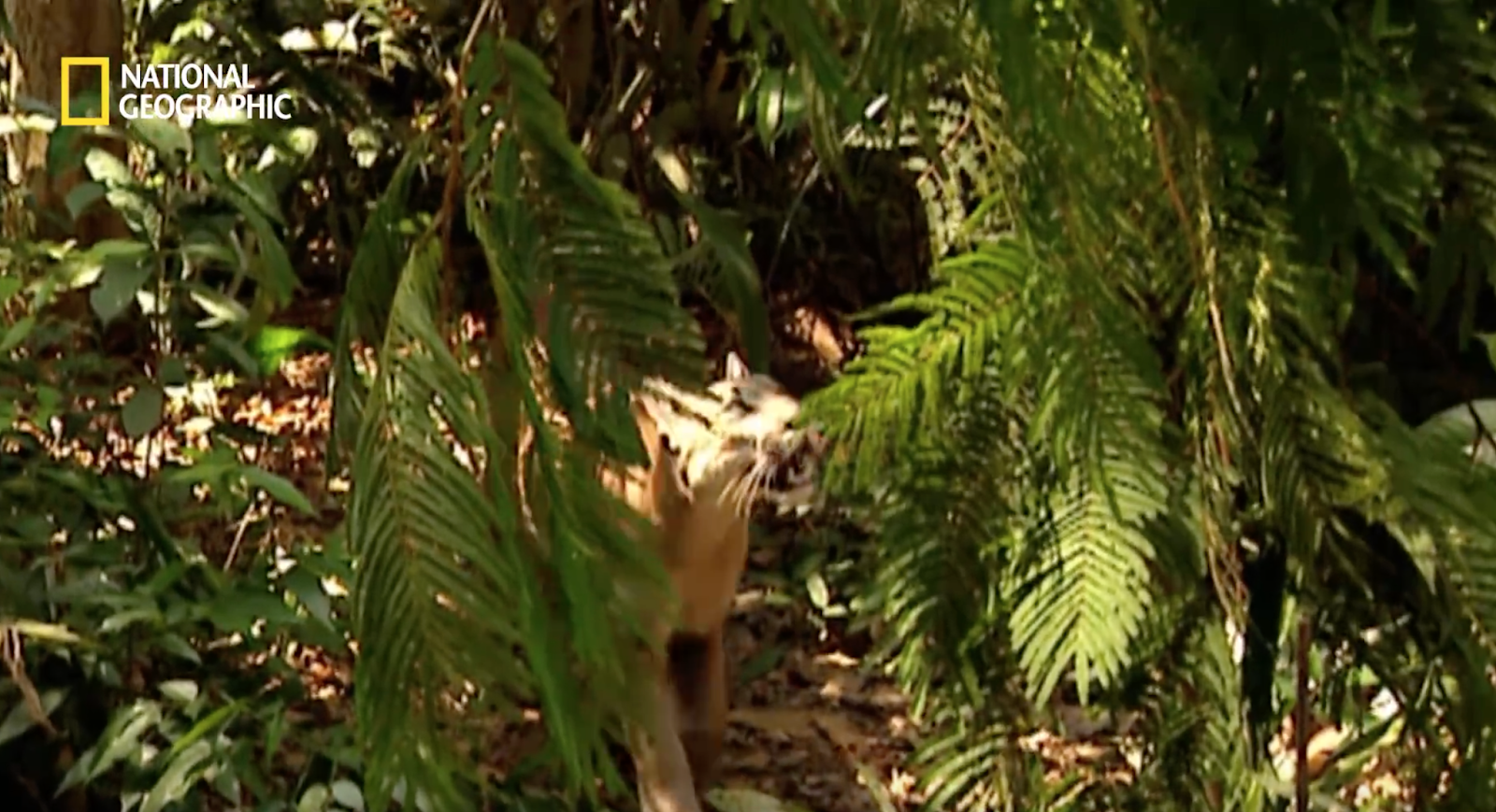 %25E1%2584%2589%25E1%2585%25B3%25E1%2584