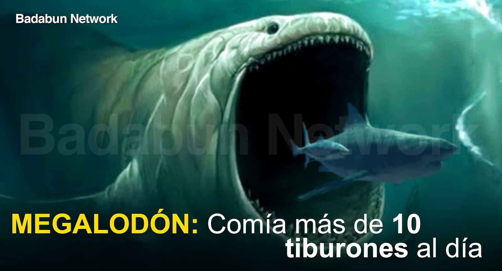 Badabun: Los 8 animales más grandes de la historia que contradicen a la