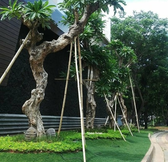 Jasa taman Yogyakarta murah - harga pembuatan taman di jogja - Garden Style