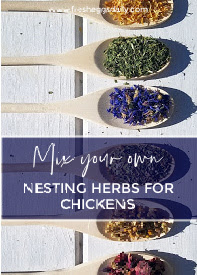 mix your own nesting box herbs for chickens