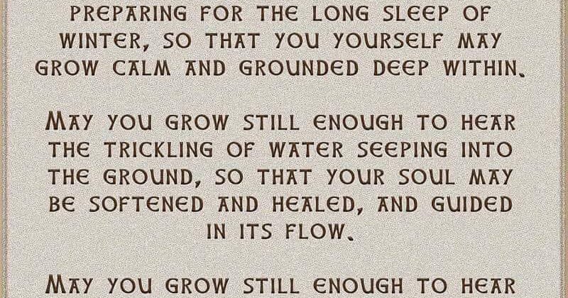 The Wild Reed: Winter Solstice Blessing