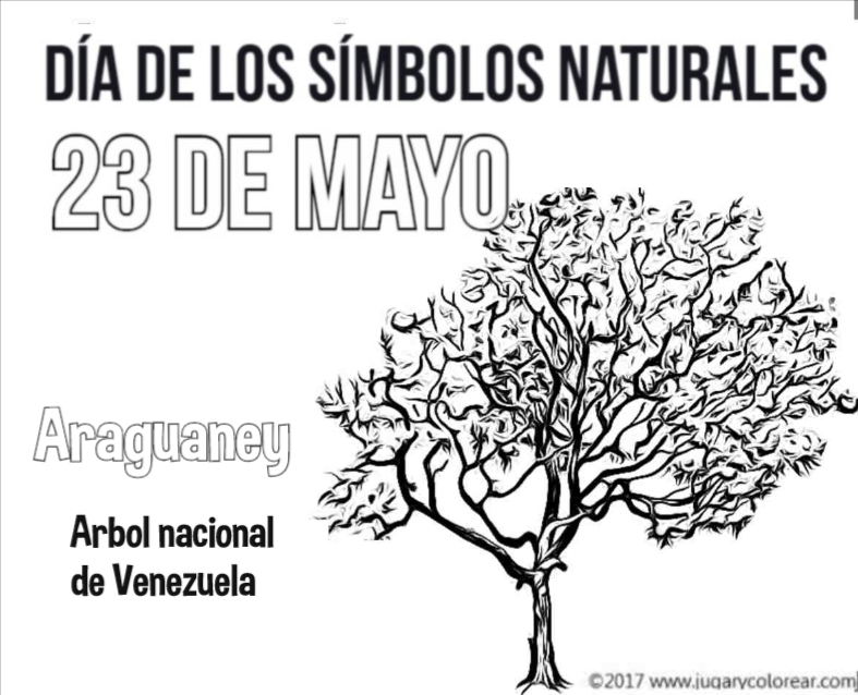 Venezuela 23 De Mayo Simbolos Naturales Jugar Y Colorear