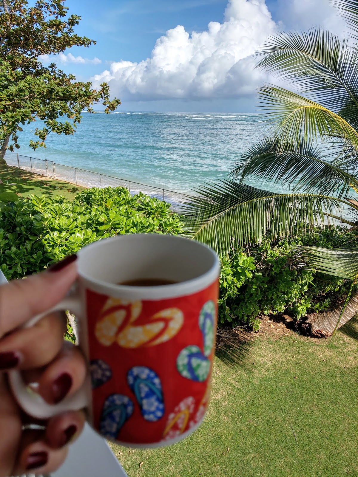 Aloha Indigo Girl Travel Blog Tag Nr 18 Auf O Ahu