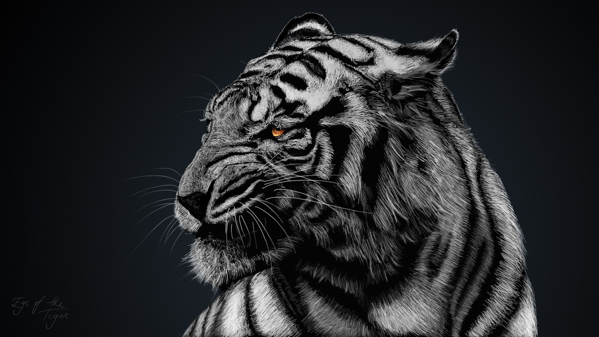 Black Tiger Iphone tiger dark HD phone wallpaper  Pxfuel