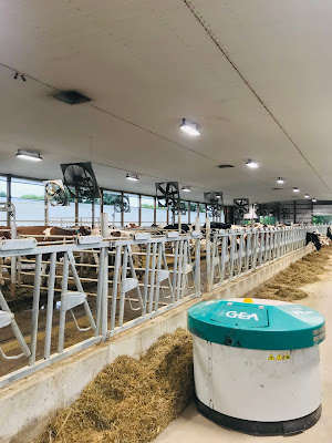 To Dairy or Not to Dairy in a Plant-Based World Weekly Wisdom To Dairy or Not to Dairy in a Plant-Based World Weekly Wisdom