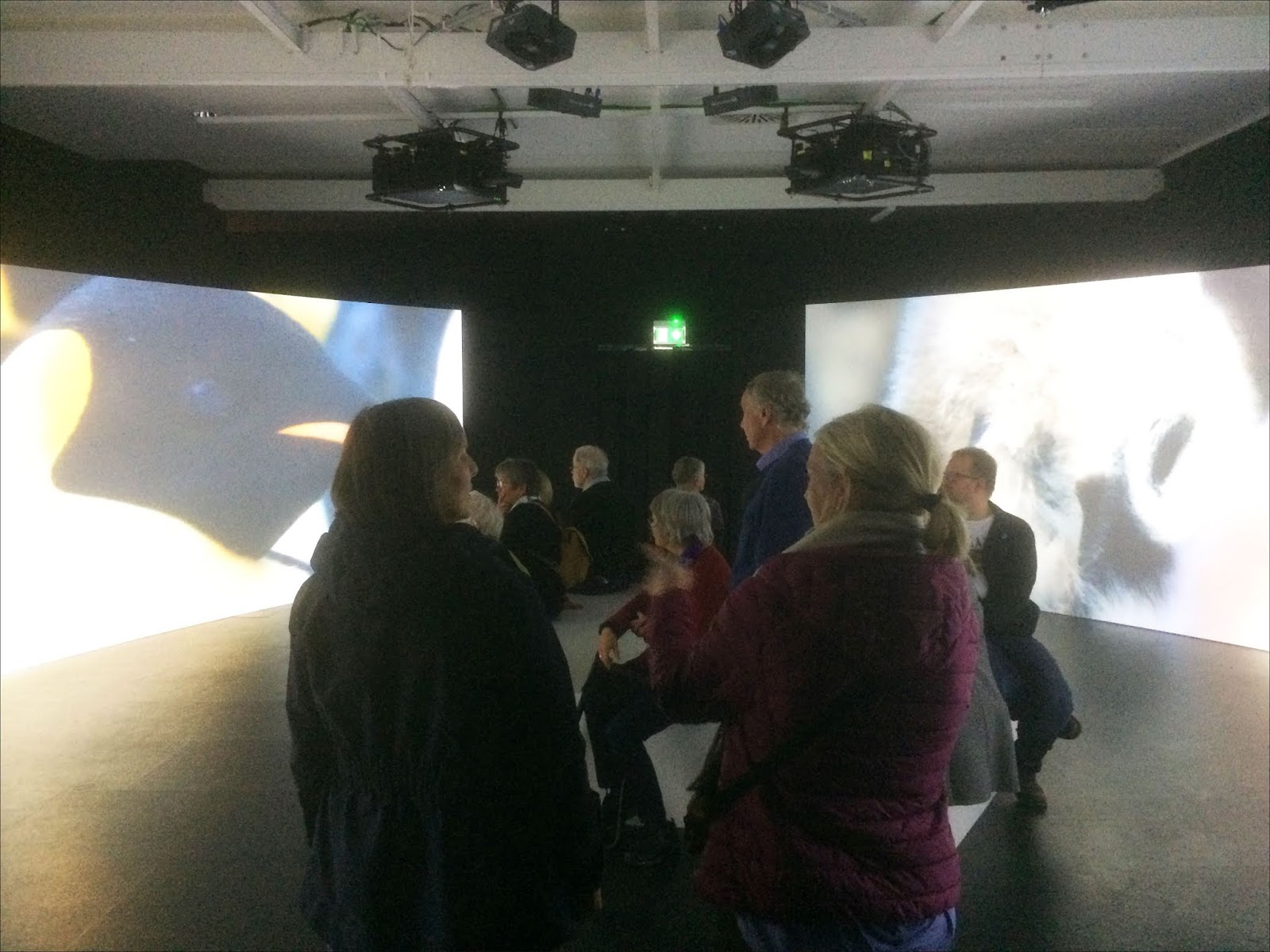 Aus dem Leben eines Entlebucher Sennenhundes 2018