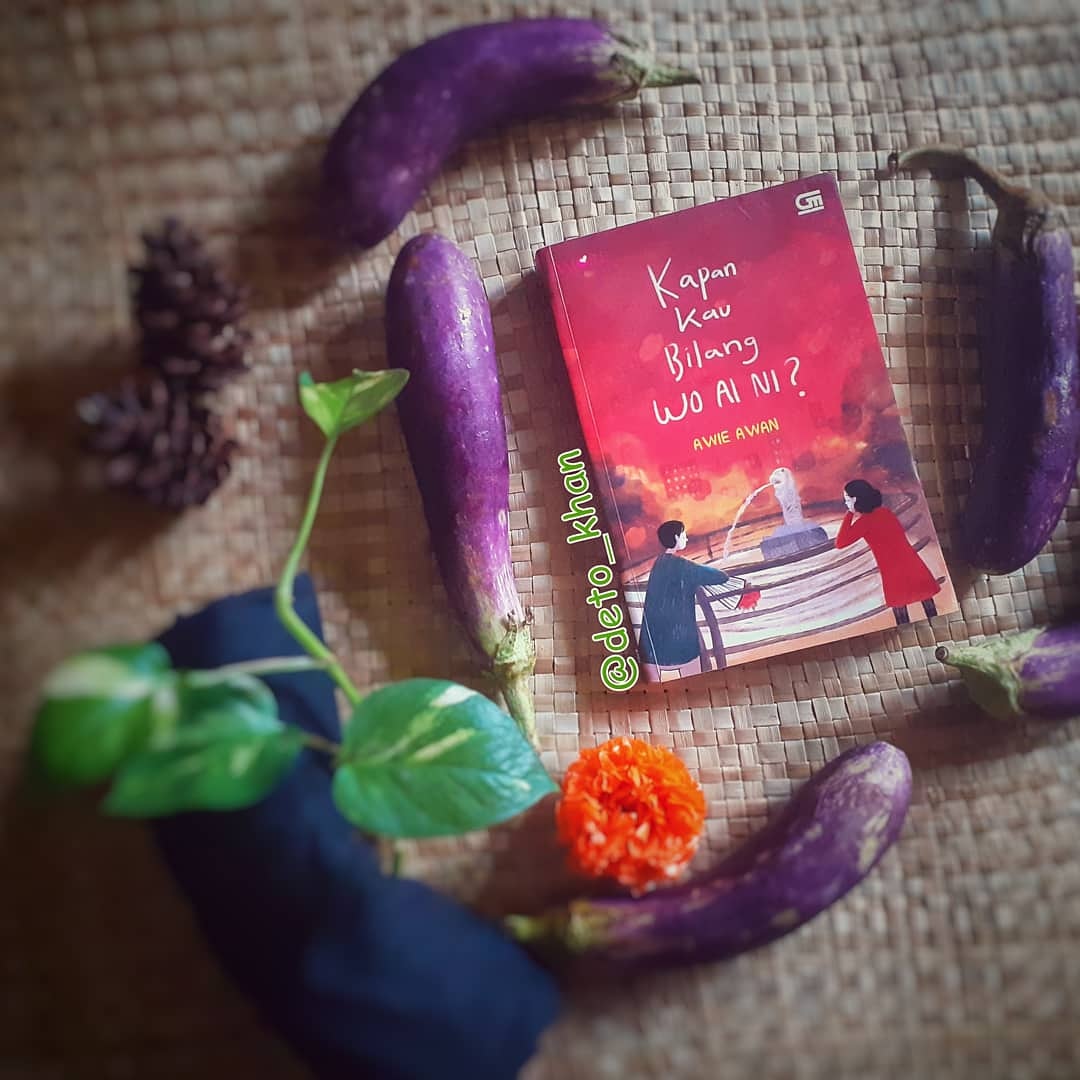 [RESENSI BUKU] KAPAN KAU BILANG WO AI NI? - AWIE AWAN
