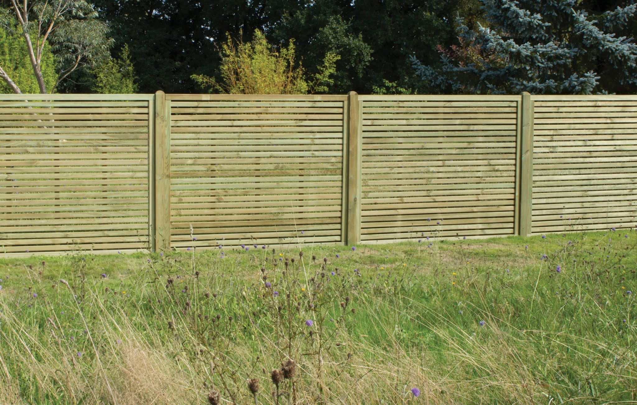 Both sides of the fence barking at dogs through garden fences or gates