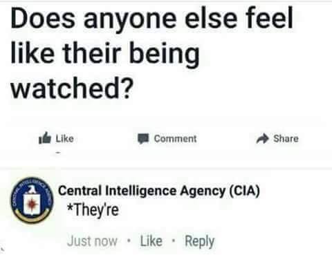 817.jpeg