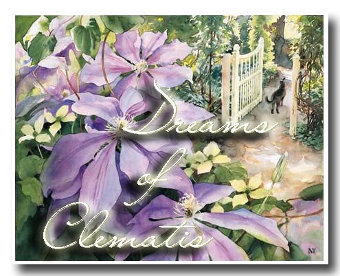 Dreams of Clematis