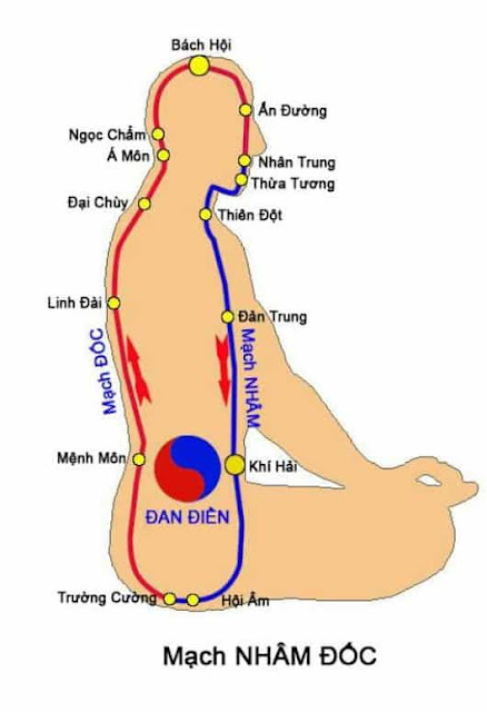 Bí mật hình thành của xá lợi Phật và thông điệp cho con người thế gian