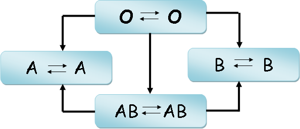 Catatan IPA SMP: SISTEM PEREDARAN DARAH PADA MANUSIA