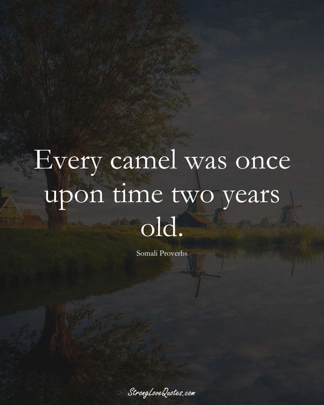 Every camel was once upon time two years old. (Somali Sayings);  #AfricanSayings