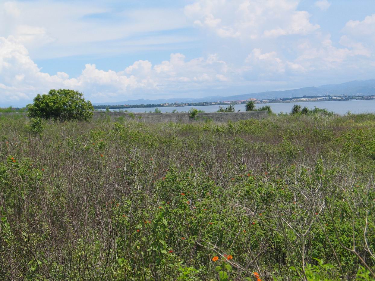 Mactan Real Estate Beach Lot for Sale in Baranggay Punta Engano